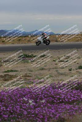 media/Jan-14-2023-SoCal Trackdays (Sat) [[497694156f]]/Turn 14 Exit Bloomig (145pm)/